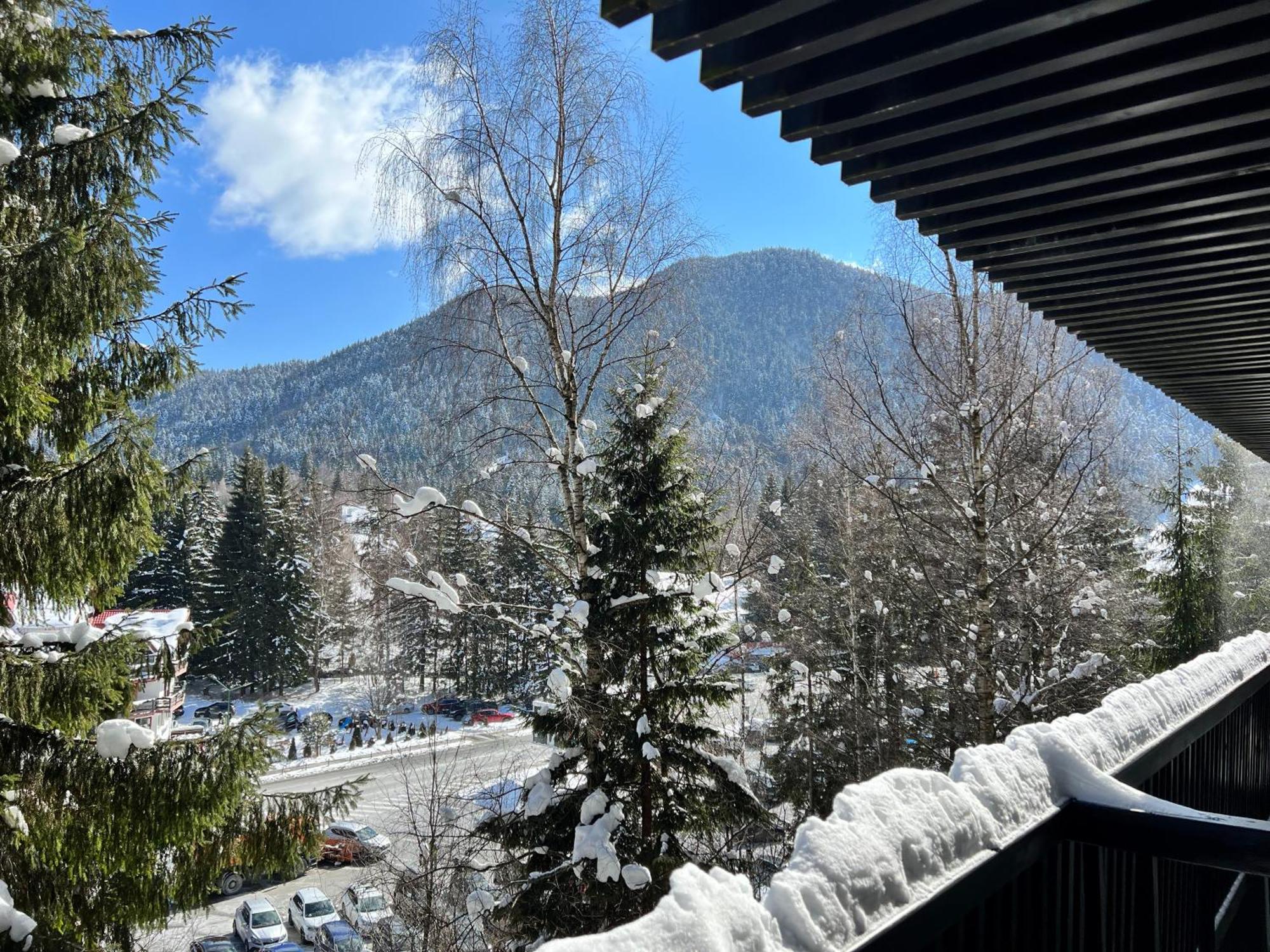 Apartment 2305 Hotel Alpin Poiana Brasov Ngoại thất bức ảnh
